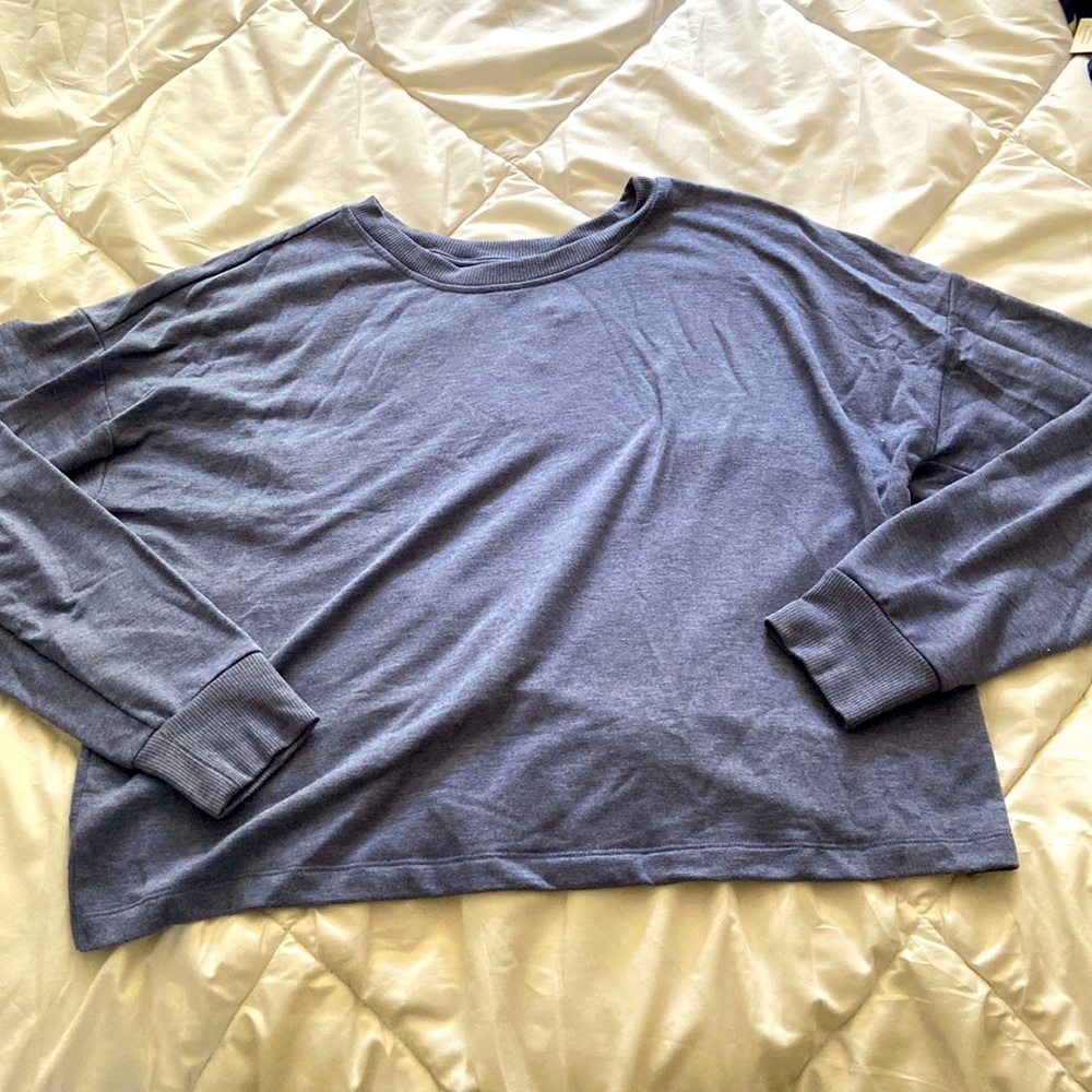 Wildfox size L blue sweatshirt
